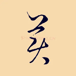 美