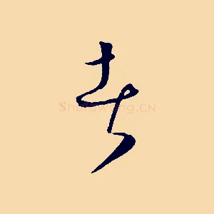 者