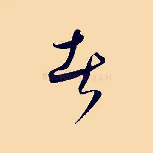 者