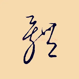體