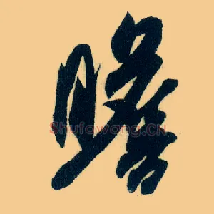 瞻