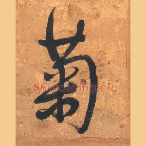 菊