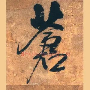 苍