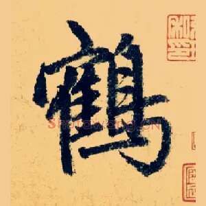 鹤