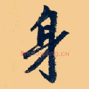 身