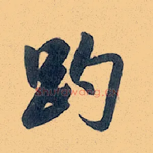 趵