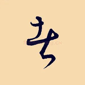 者
