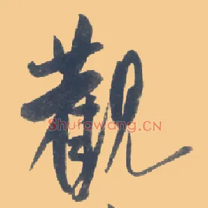 观