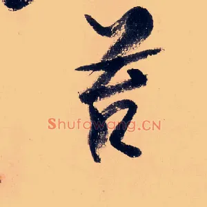 苔