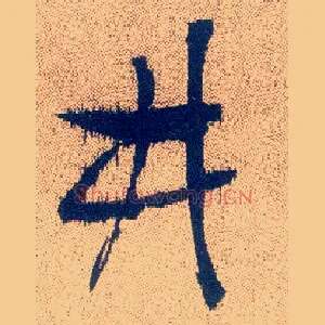 井