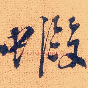 虾