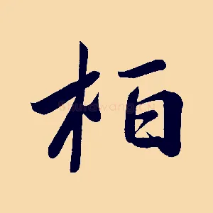 柏