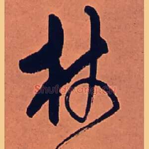 杖