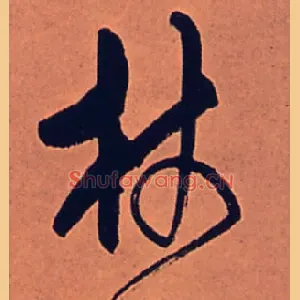 杖