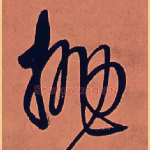 抛