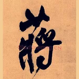 蒋