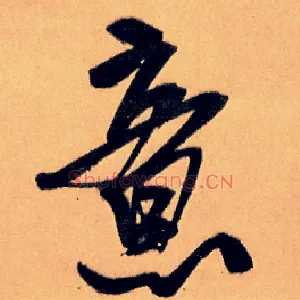 意