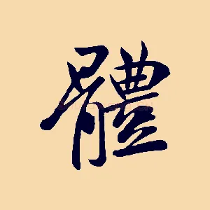 體
