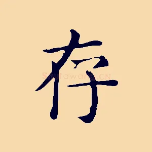 存