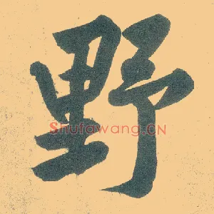 野