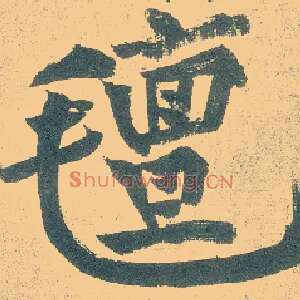 毡
