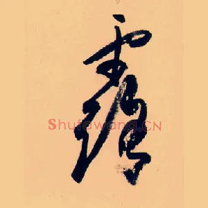 露