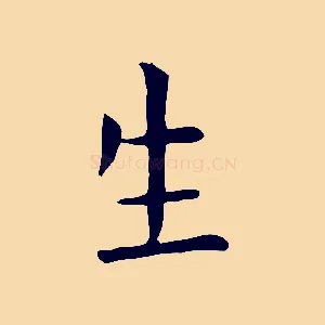 生