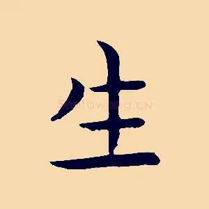 生