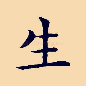 生