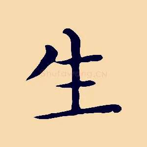 生