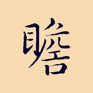瞻