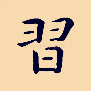 習