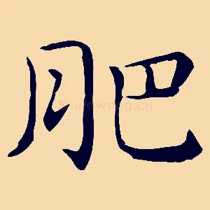 肥