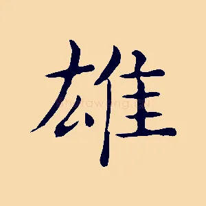 雄