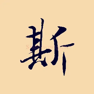 斯