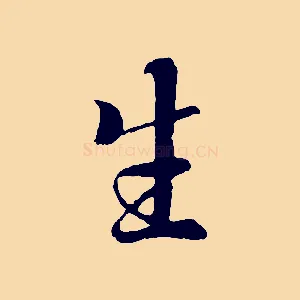 生