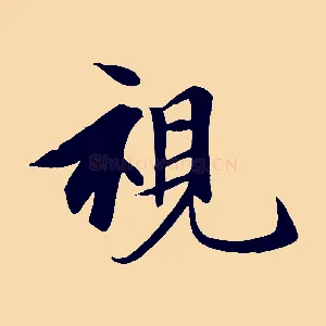 視