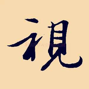 視