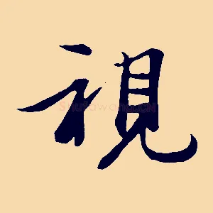 視