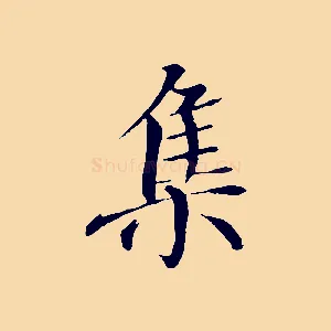 集