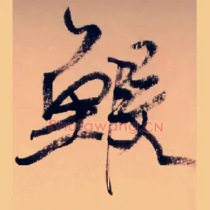 鰕
