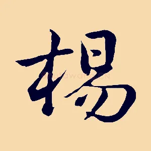 楊