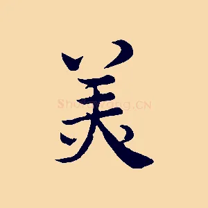 美