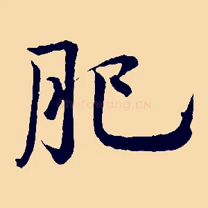 肥