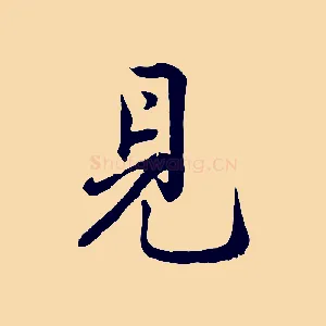 見