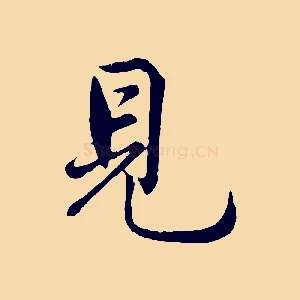 見