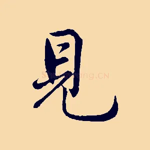 見