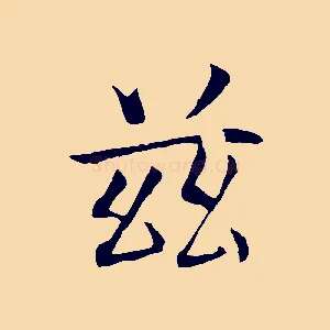 茲