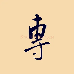 專