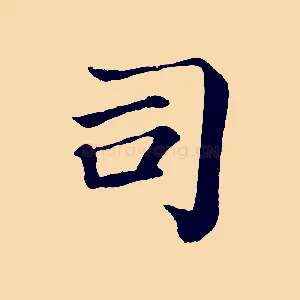 司